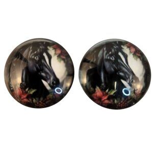 Set of 2 Black Horse Glass Cabochons 1 Inch Round, Floral Dome Craft Supply for